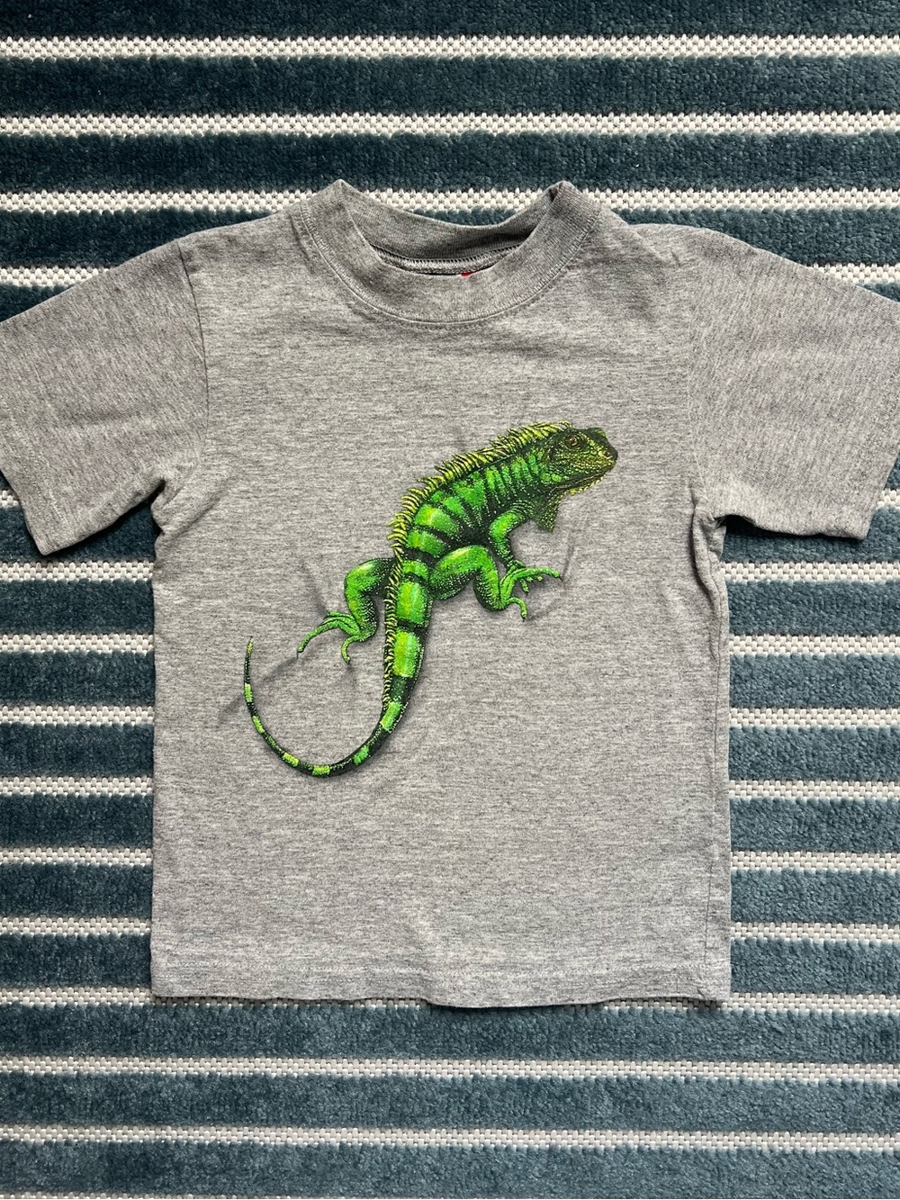 Vintage Arizona Jean Co. Kids S Iguana Graphic T-Shirt